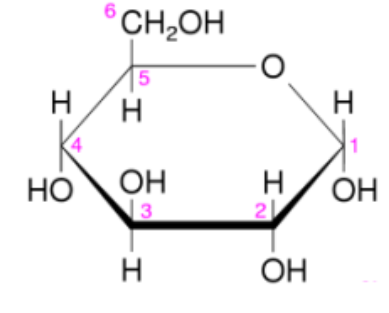 Haworth-Projektion eines Glucose-Rings mit OH- und H-Atomen, nummerierten C-Positionen 1–6